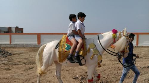 horse riding 2